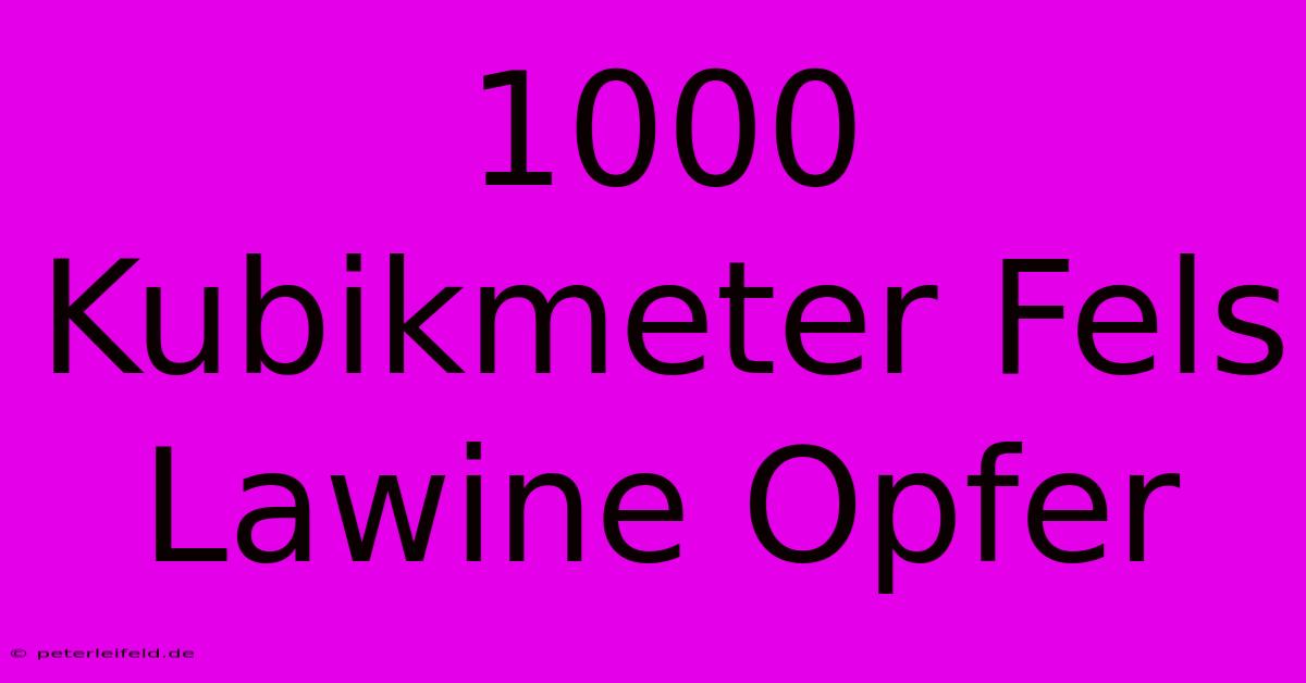 1000 Kubikmeter Fels Lawine Opfer