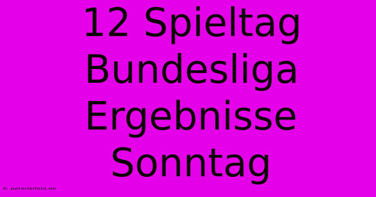 12 Spieltag Bundesliga Ergebnisse Sonntag