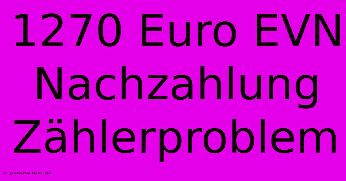 1270 Euro EVN Nachzahlung Zählerproblem