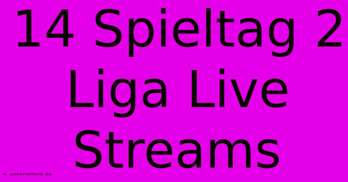 14 Spieltag 2 Liga Live Streams