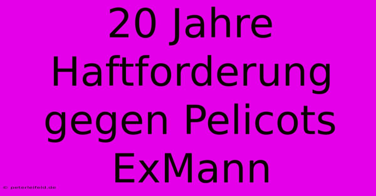 20 Jahre Haftforderung Gegen Pelicots ExMann