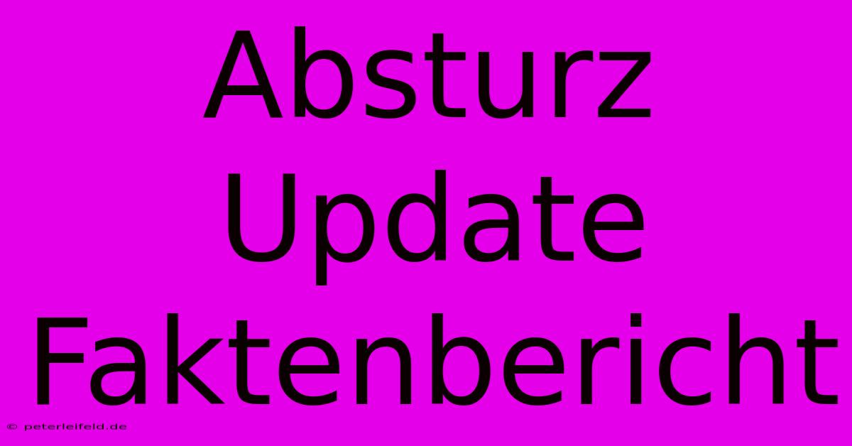 Absturz Update Faktenbericht