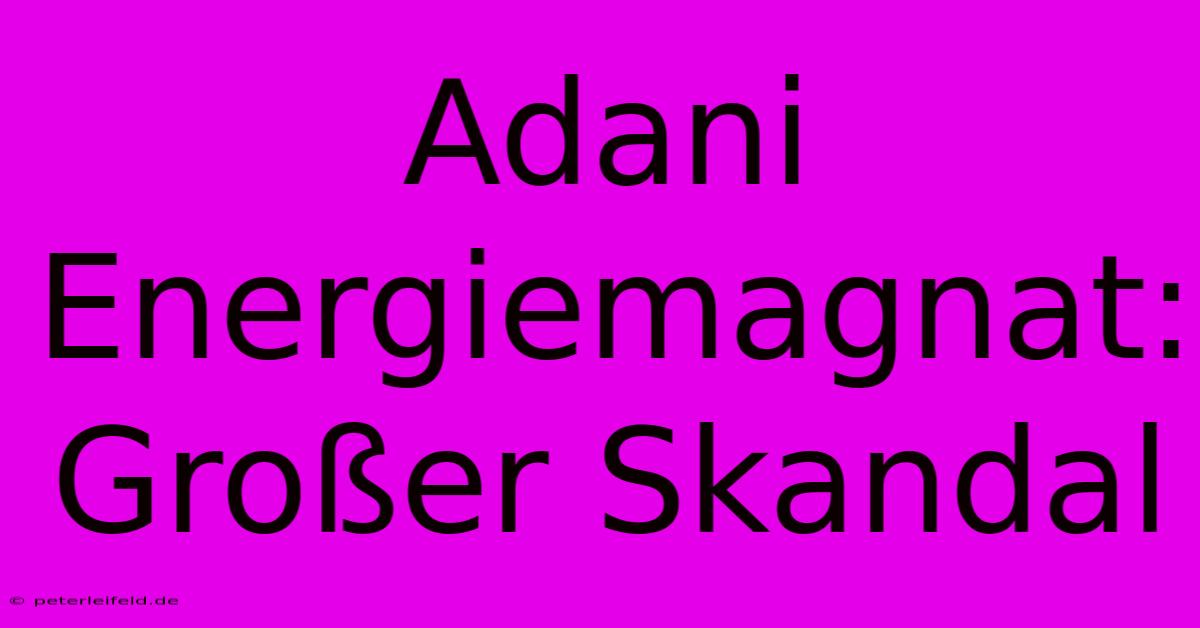 Adani Energiemagnat: Großer Skandal