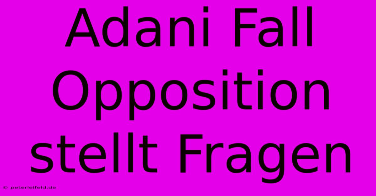 Adani Fall Opposition Stellt Fragen