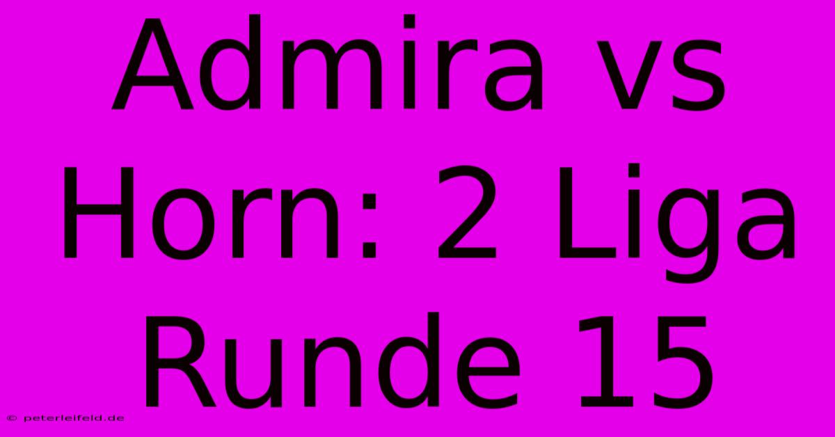 Admira Vs Horn: 2 Liga Runde 15