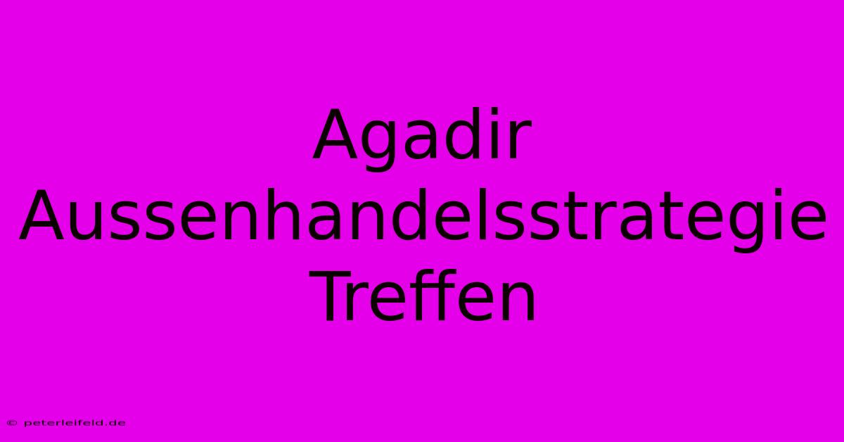 Agadir Aussenhandelsstrategie Treffen