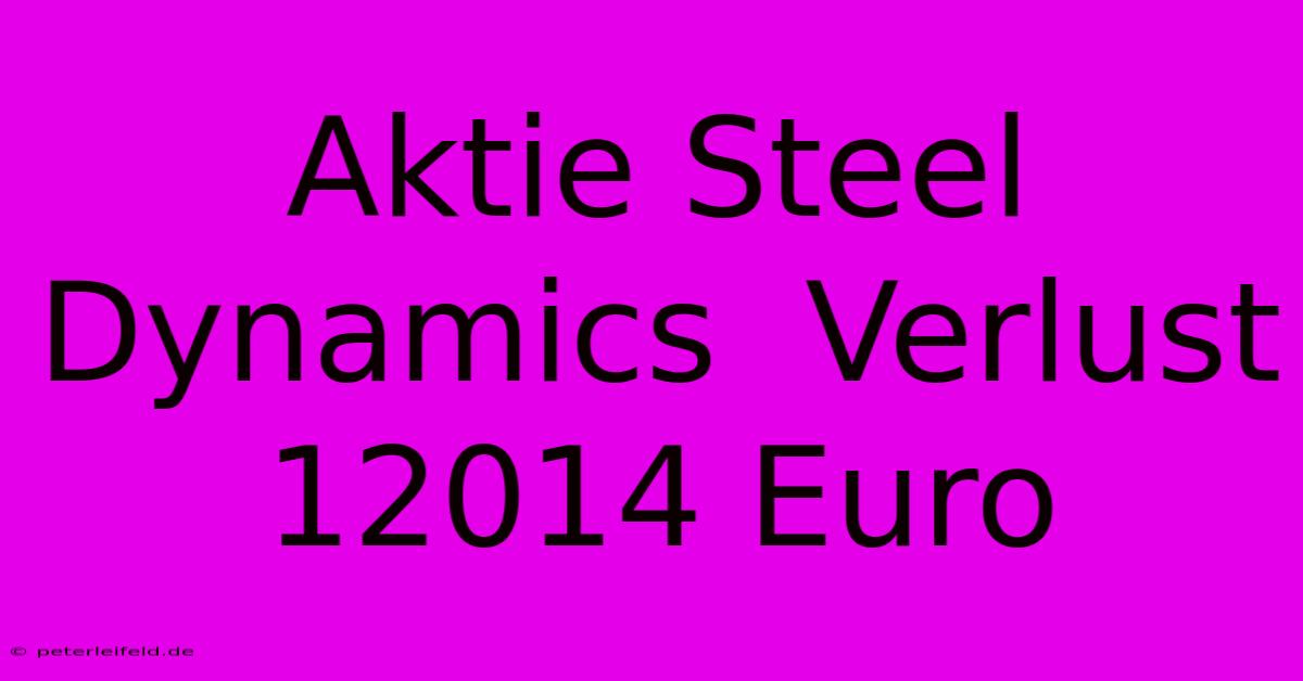 Aktie Steel Dynamics  Verlust 12014 Euro