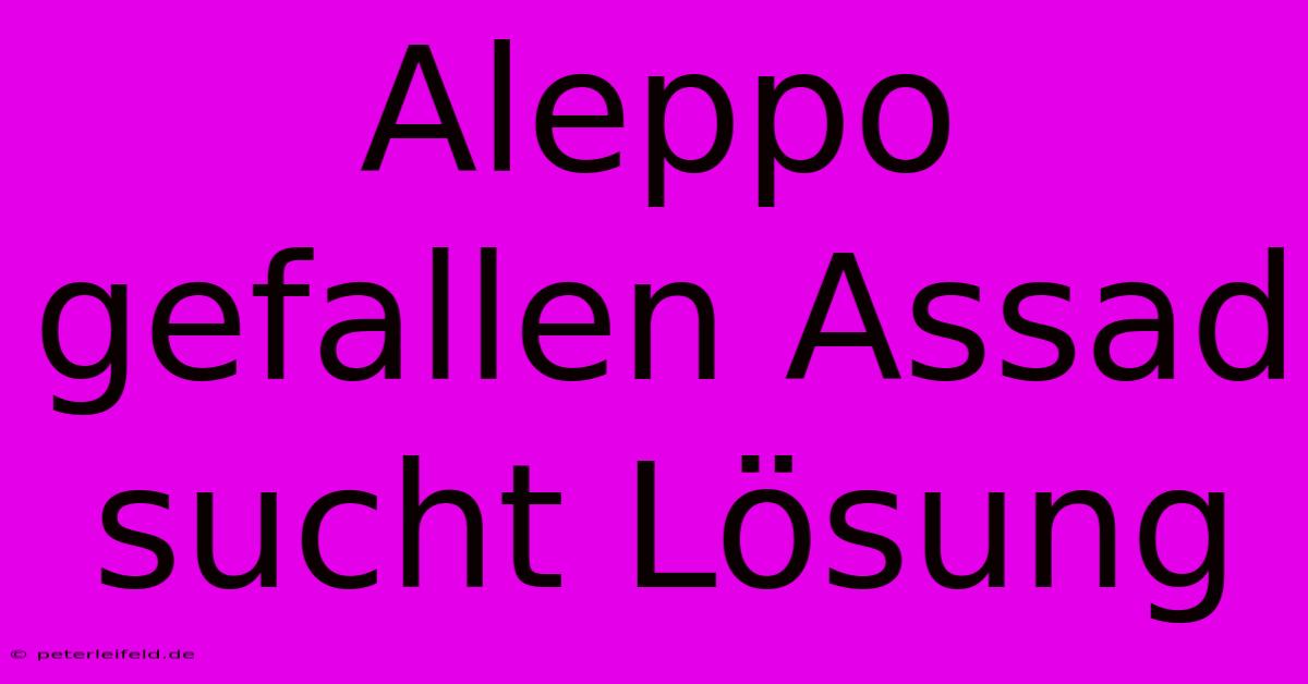 Aleppo Gefallen Assad Sucht Lösung