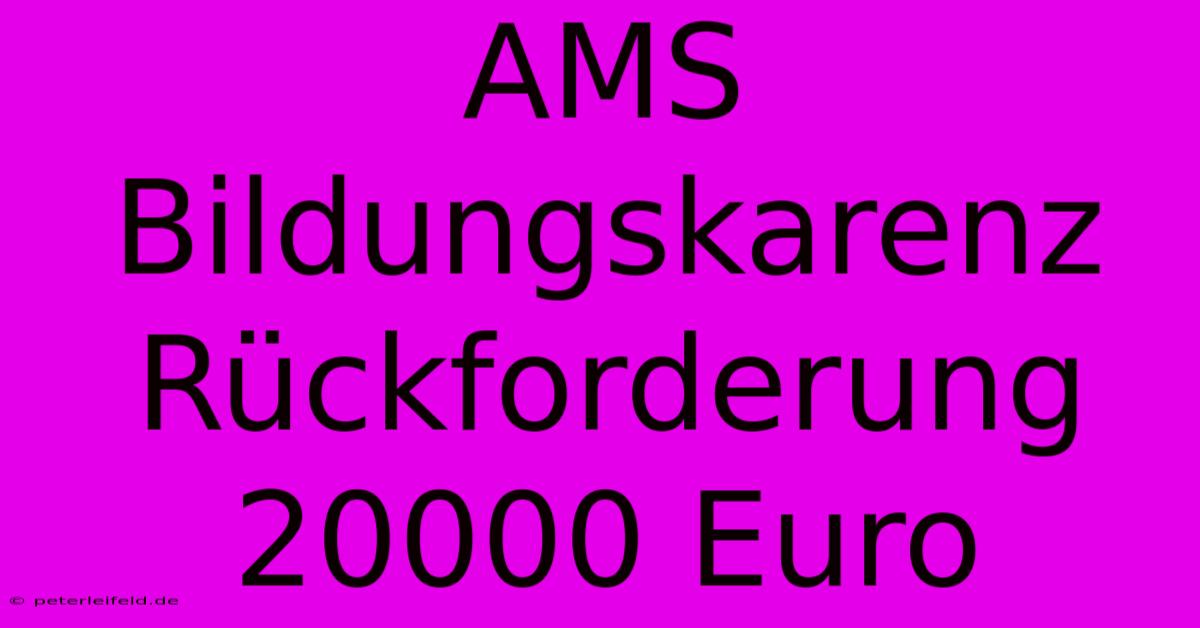 AMS Bildungskarenz Rückforderung 20000 Euro