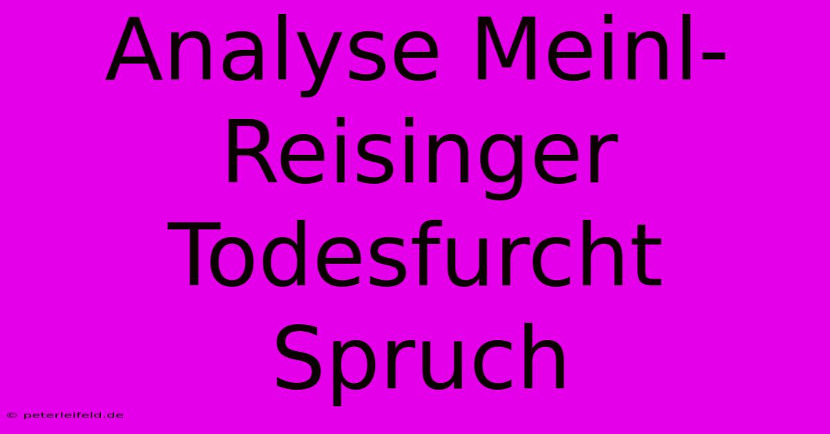 Analyse Meinl-Reisinger Todesfurcht Spruch