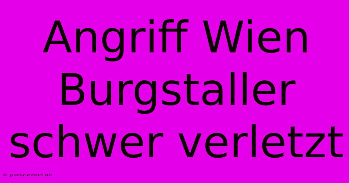 Angriff Wien Burgstaller Schwer Verletzt