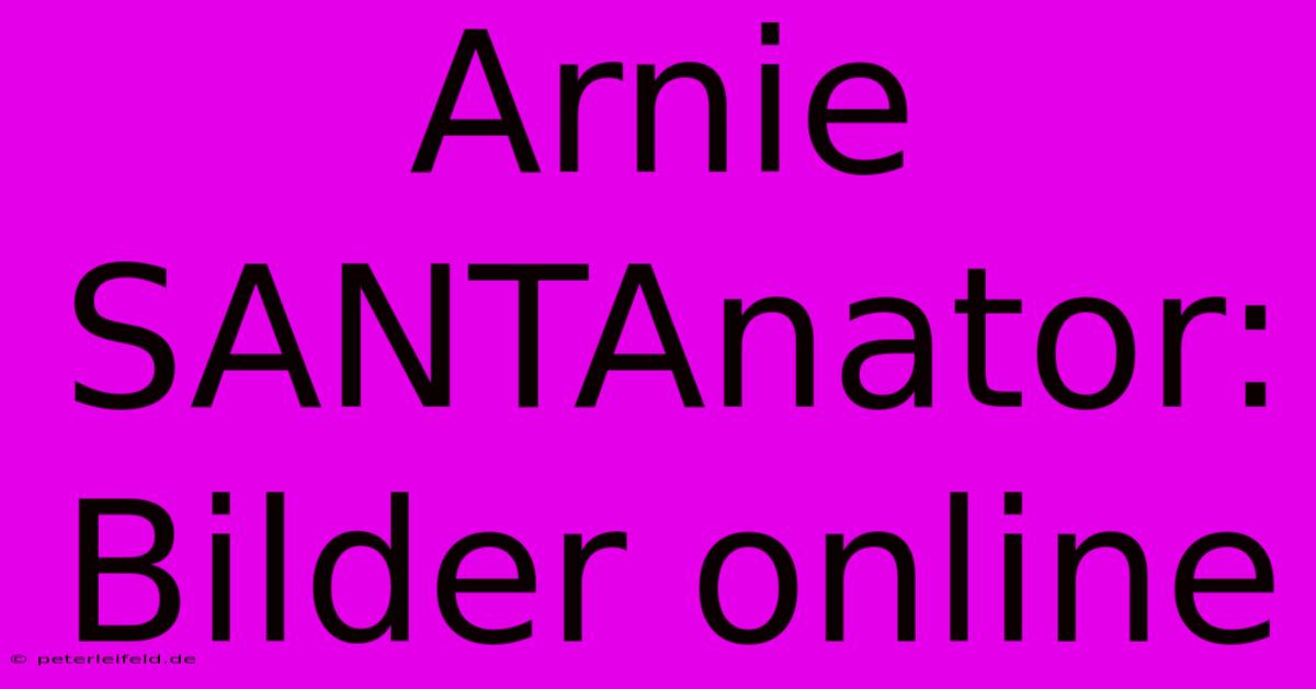 Arnie SANTAnator: Bilder Online