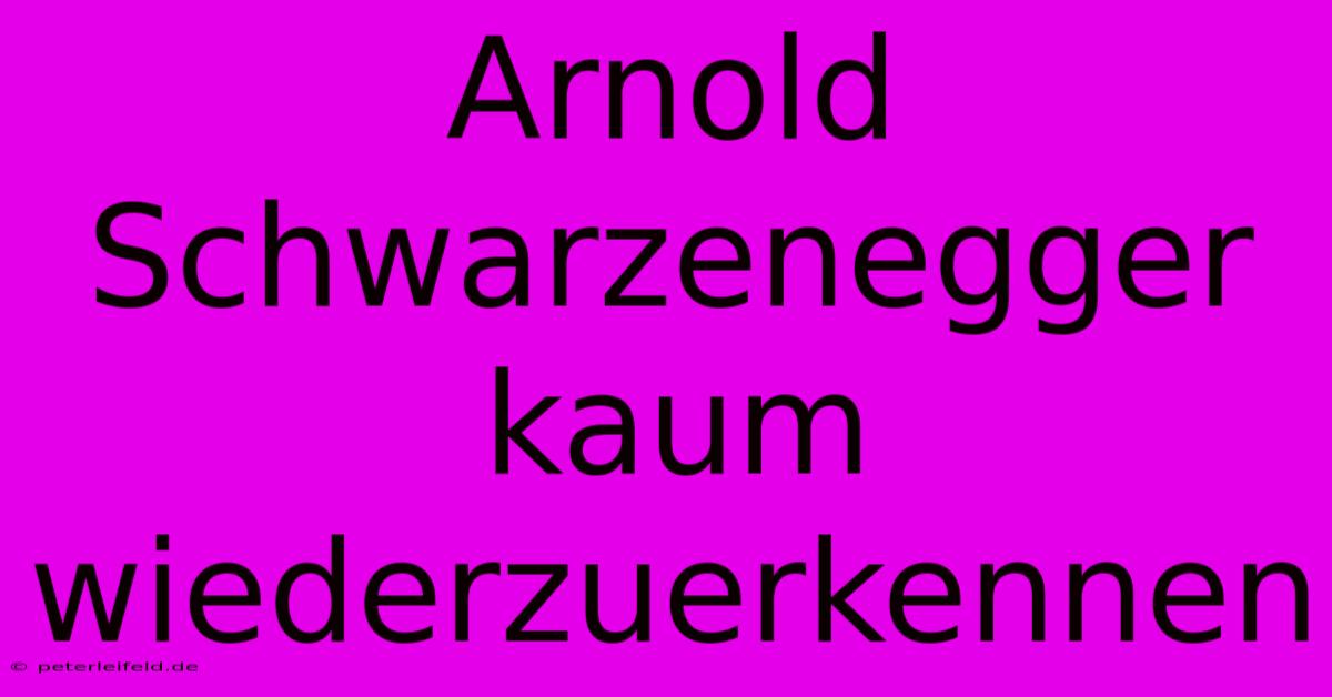 Arnold Schwarzenegger Kaum Wiederzuerkennen