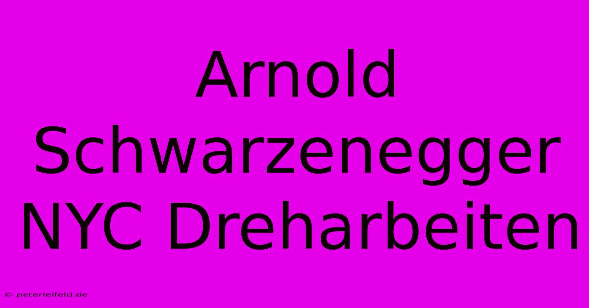 Arnold Schwarzenegger NYC Dreharbeiten