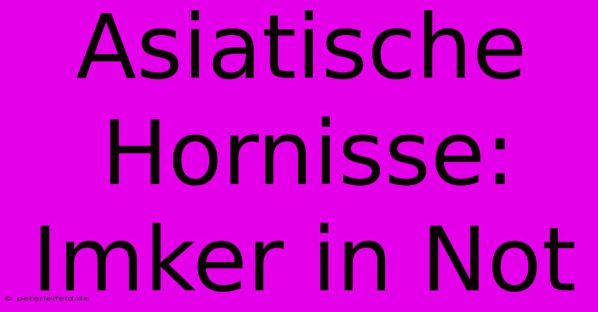 Asiatische Hornisse: Imker In Not