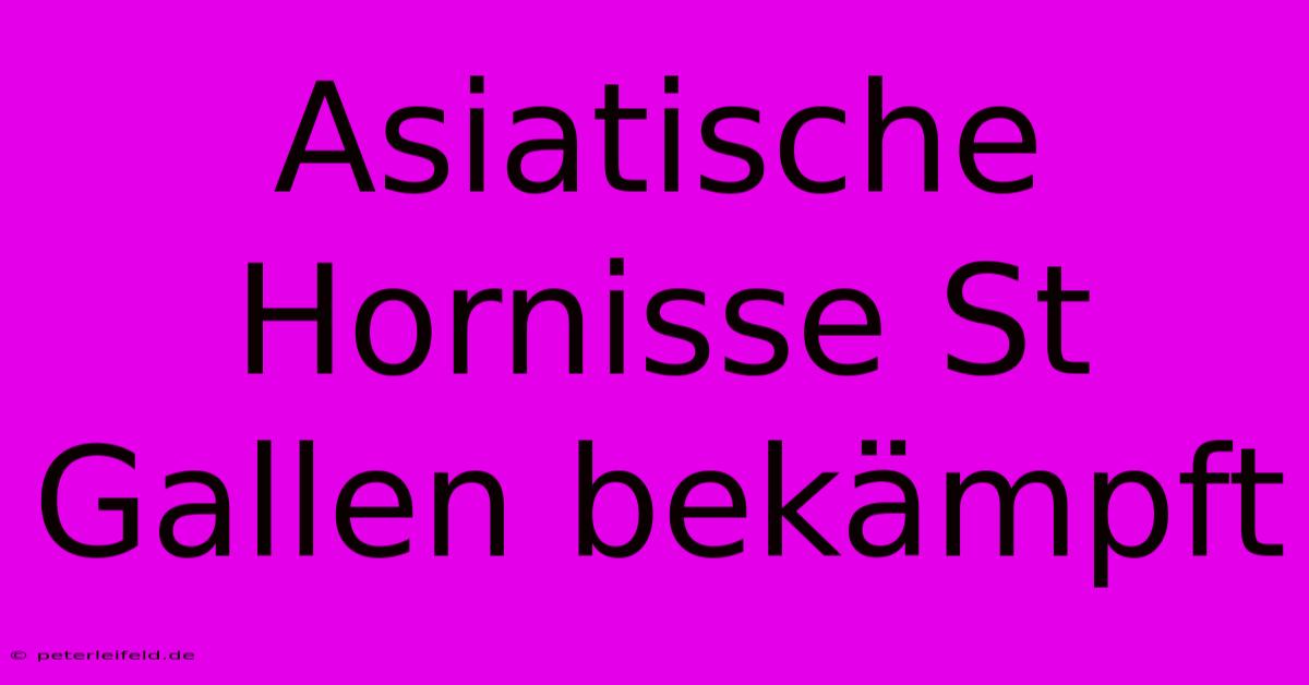 Asiatische Hornisse St Gallen Bekämpft