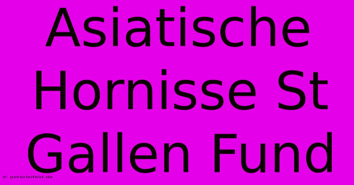 Asiatische Hornisse St Gallen Fund