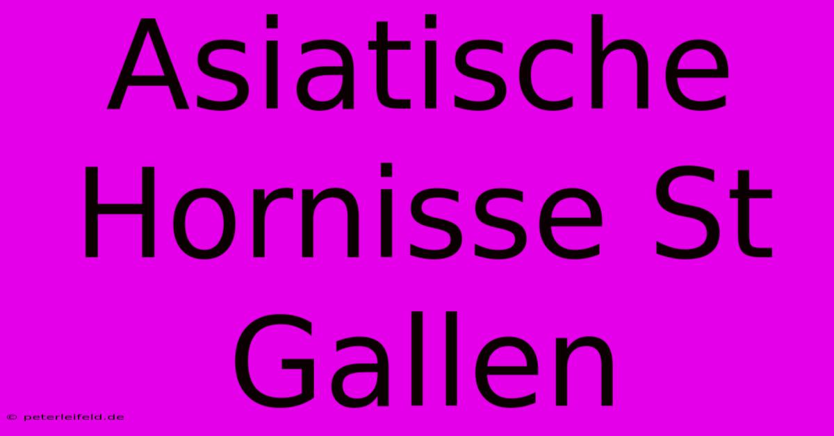 Asiatische Hornisse St Gallen