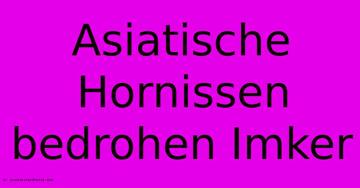 Asiatische Hornissen Bedrohen Imker