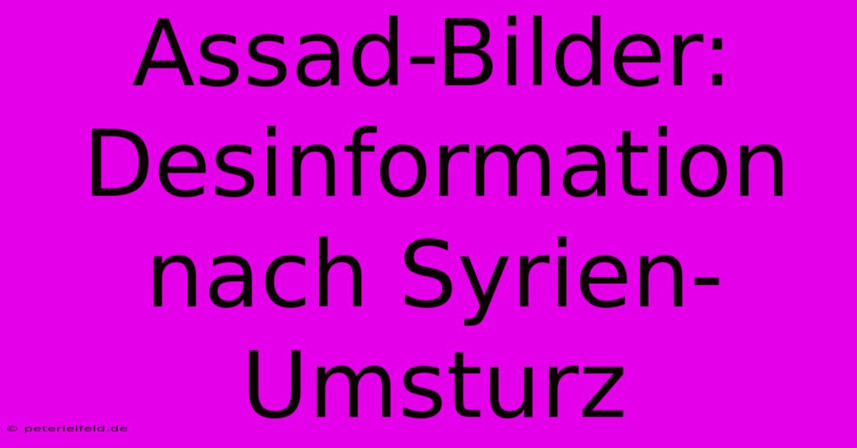 Assad-Bilder: Desinformation Nach Syrien-Umsturz