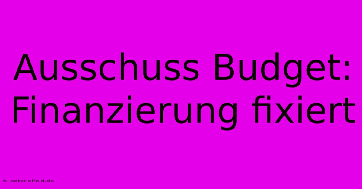 Ausschuss Budget:  Finanzierung Fixiert