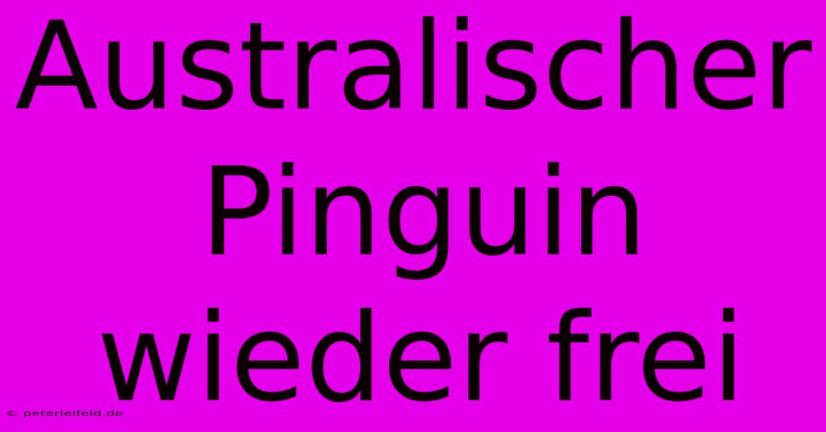 Australischer Pinguin Wieder Frei