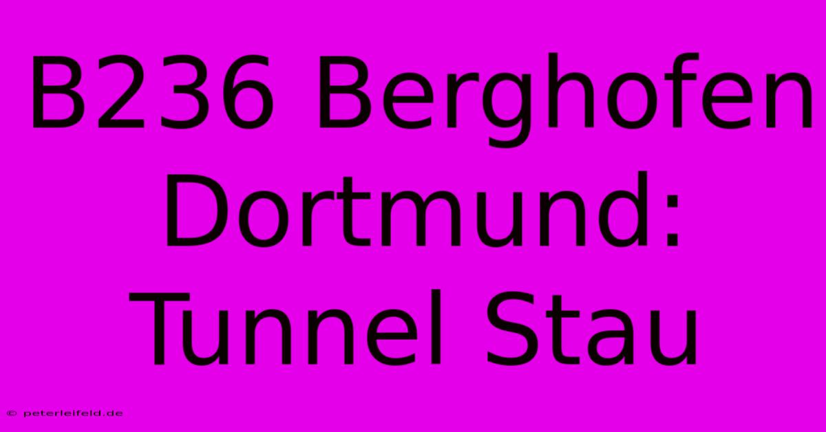 B236 Berghofen Dortmund: Tunnel Stau