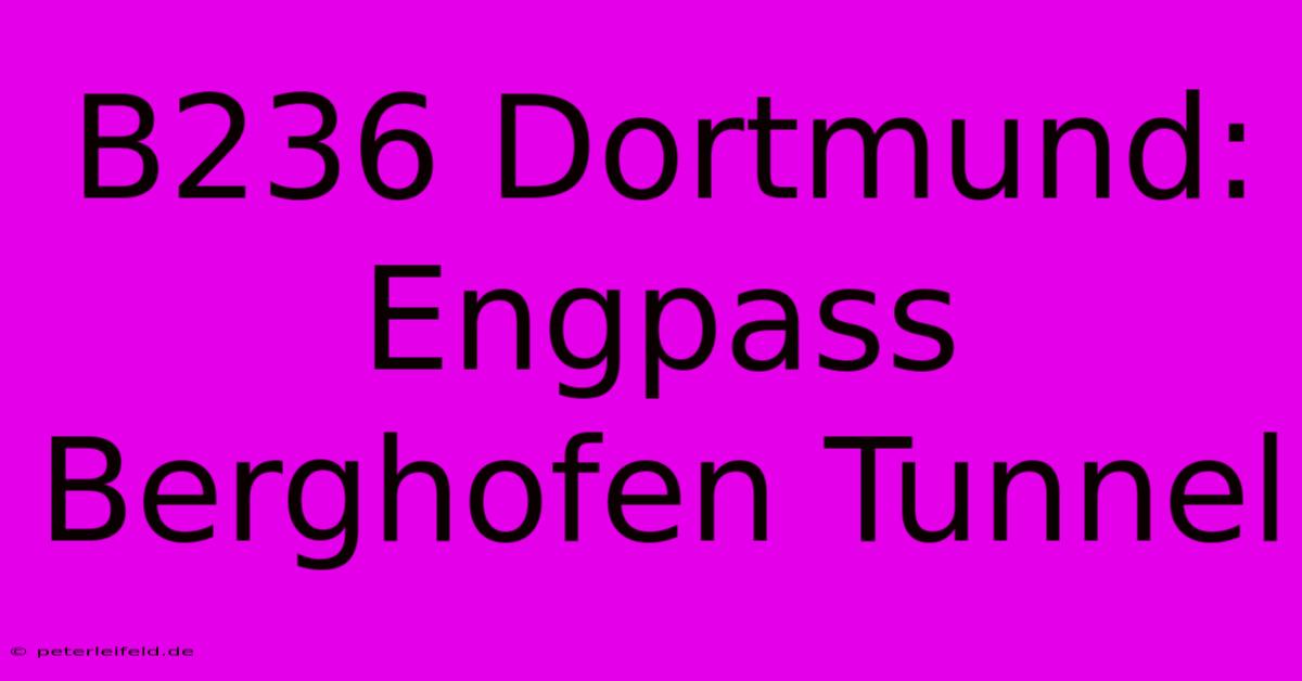 B236 Dortmund: Engpass Berghofen Tunnel