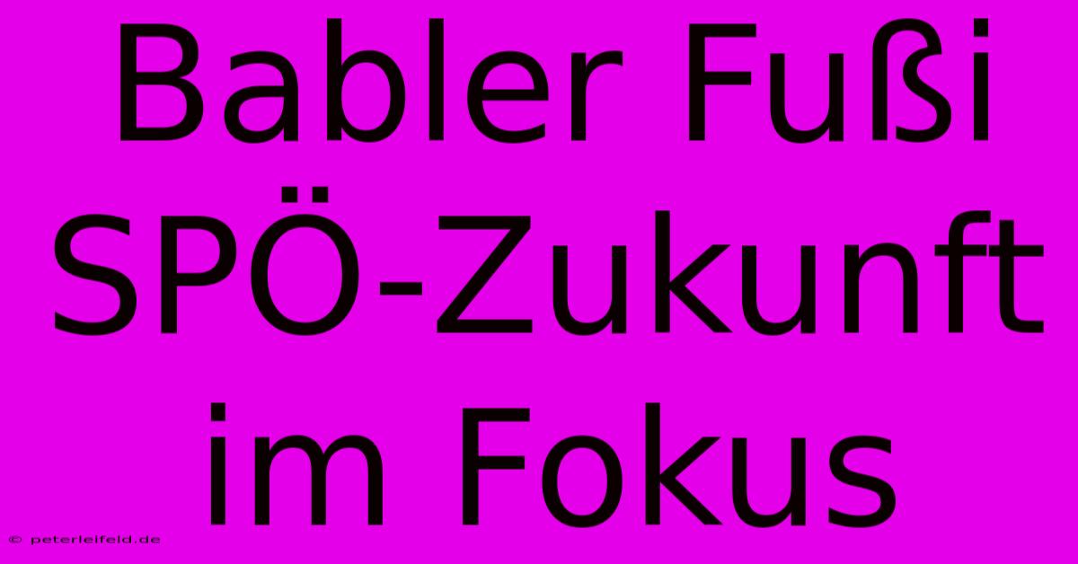 Babler Fußi SPÖ-Zukunft Im Fokus