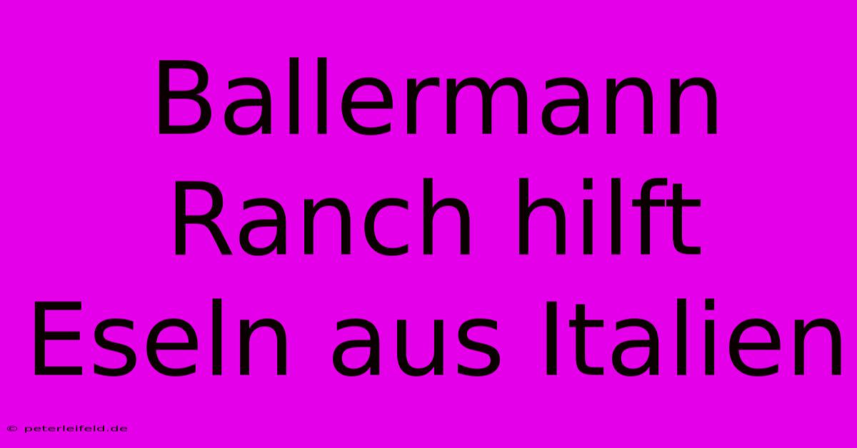 Ballermann Ranch Hilft Eseln Aus Italien