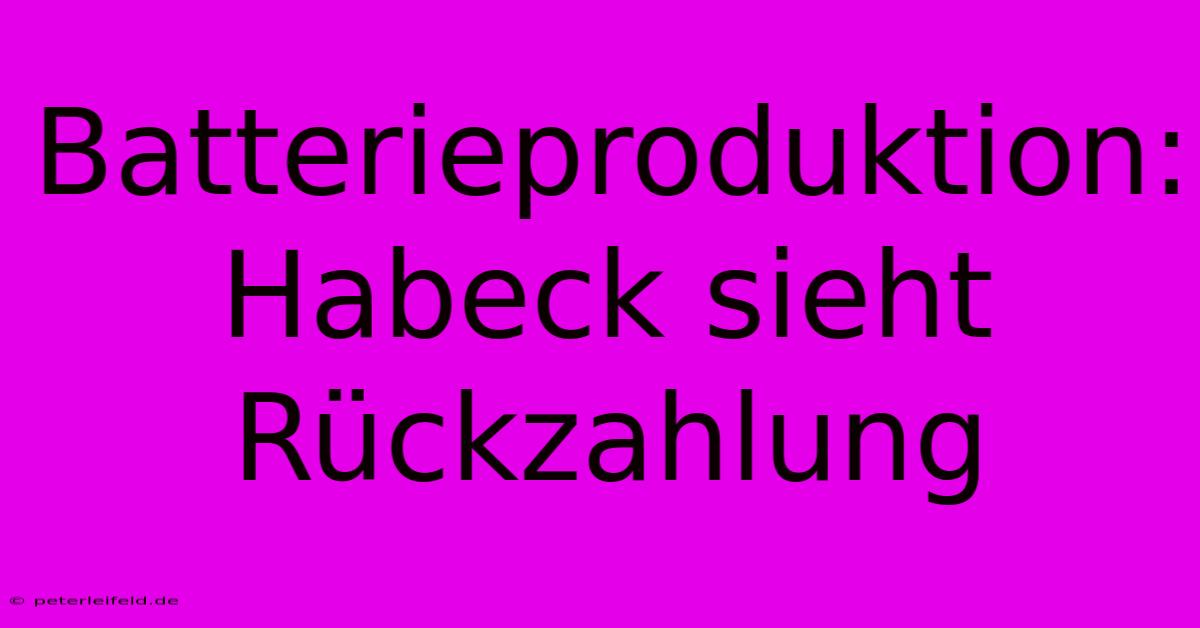 Batterieproduktion:  Habeck Sieht Rückzahlung