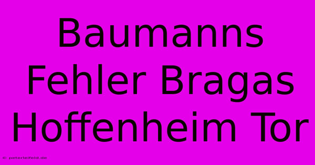 Baumanns Fehler Bragas Hoffenheim Tor