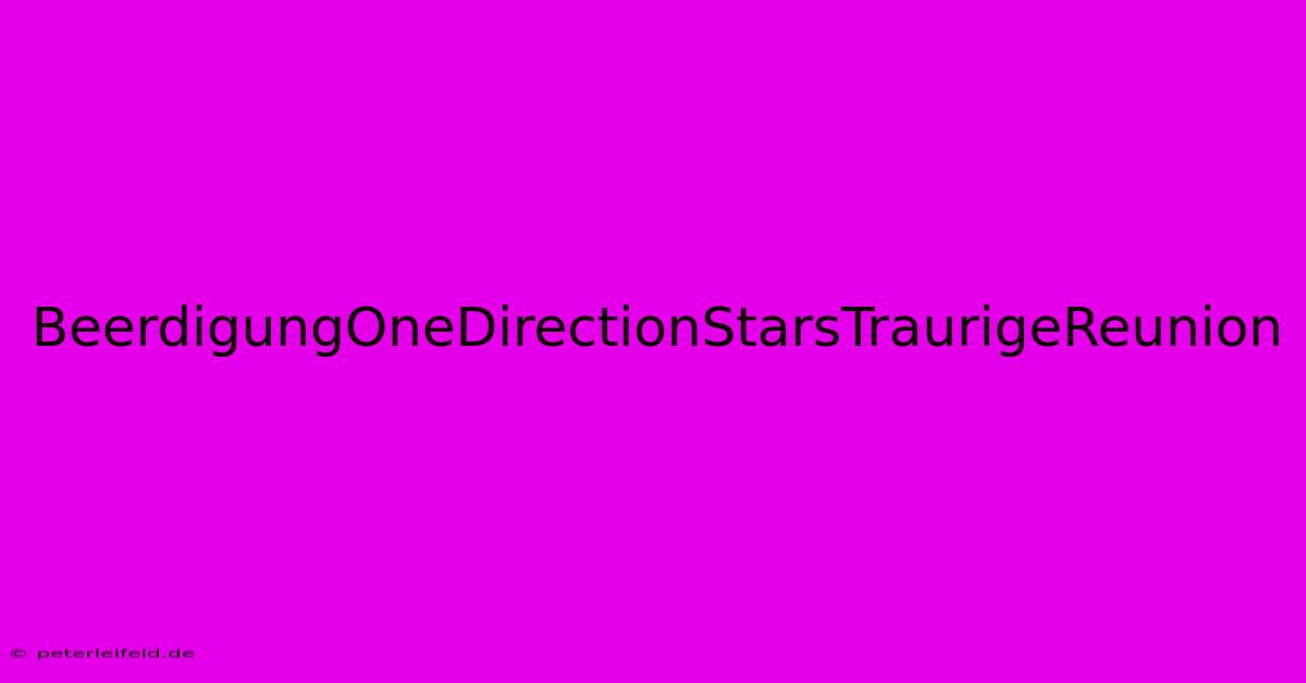 BeerdigungOneDirectionStarsTraurigeReunion