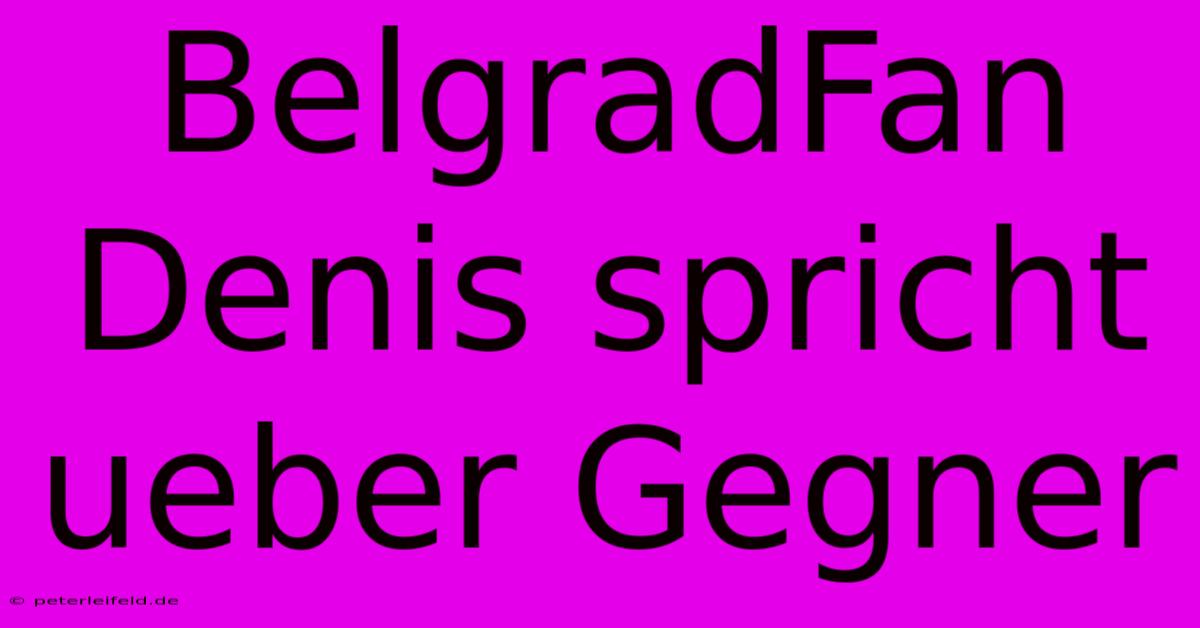 BelgradFan Denis Spricht Ueber Gegner