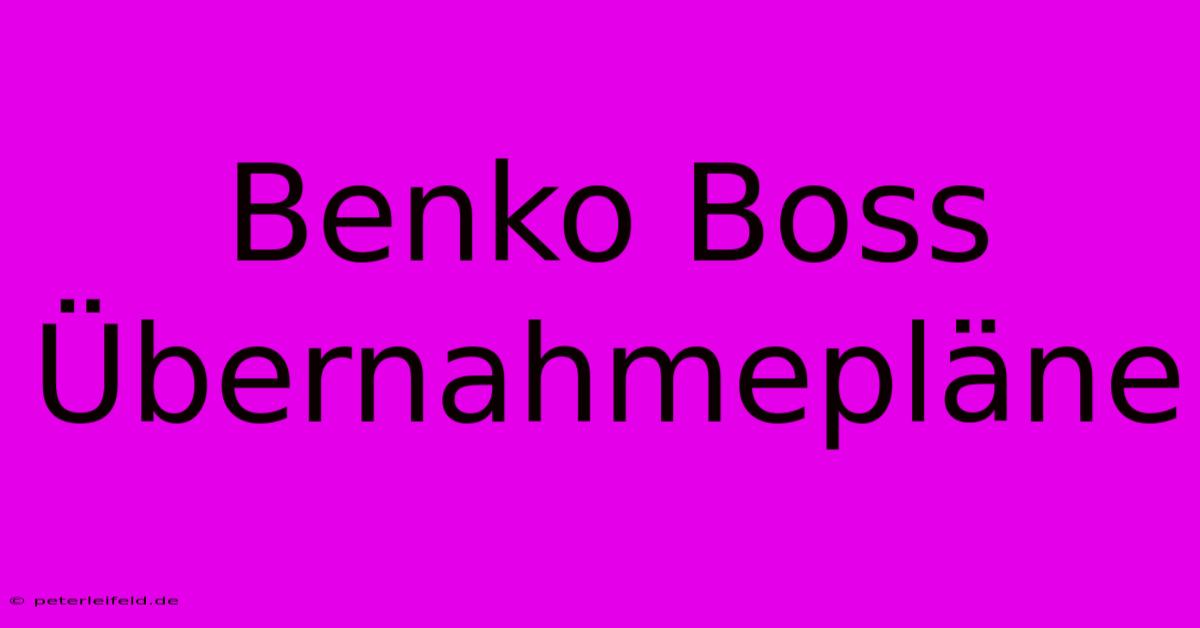 Benko Boss Übernahmepläne