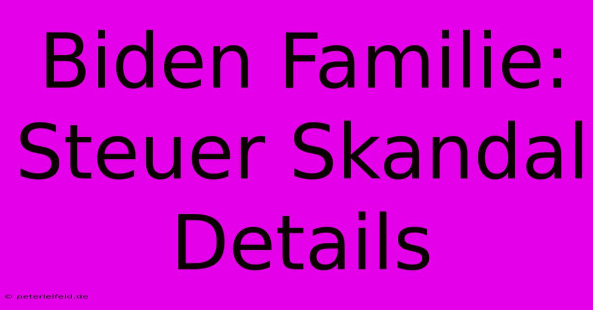 Biden Familie: Steuer Skandal Details