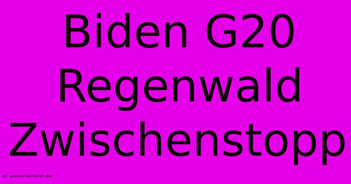 Biden G20 Regenwald Zwischenstopp