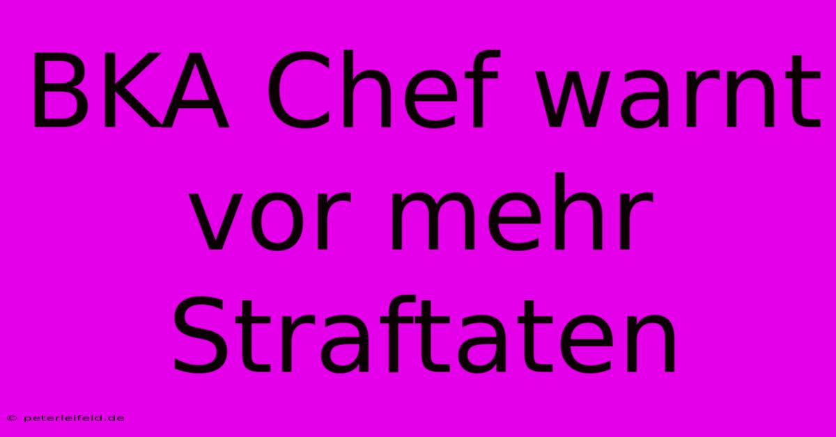 BKA Chef Warnt Vor Mehr Straftaten