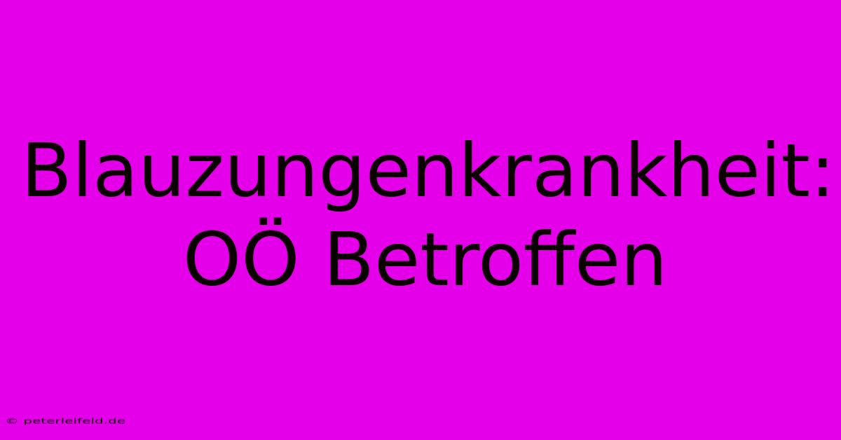 Blauzungenkrankheit: OÖ Betroffen