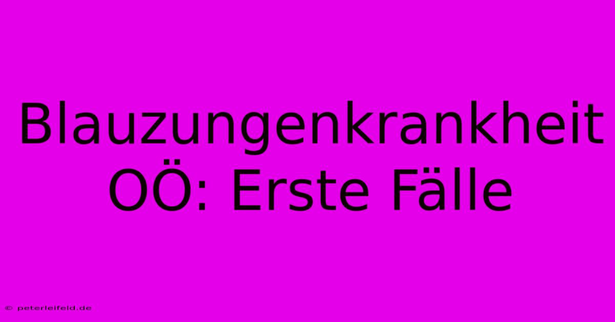 Blauzungenkrankheit OÖ: Erste Fälle