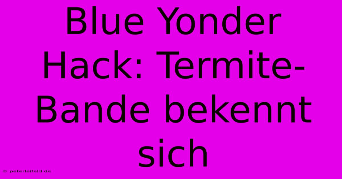 Blue Yonder Hack: Termite-Bande Bekennt Sich