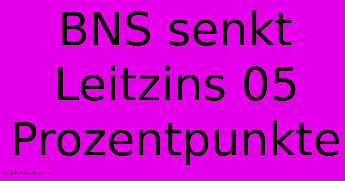 BNS Senkt Leitzins 05 Prozentpunkte