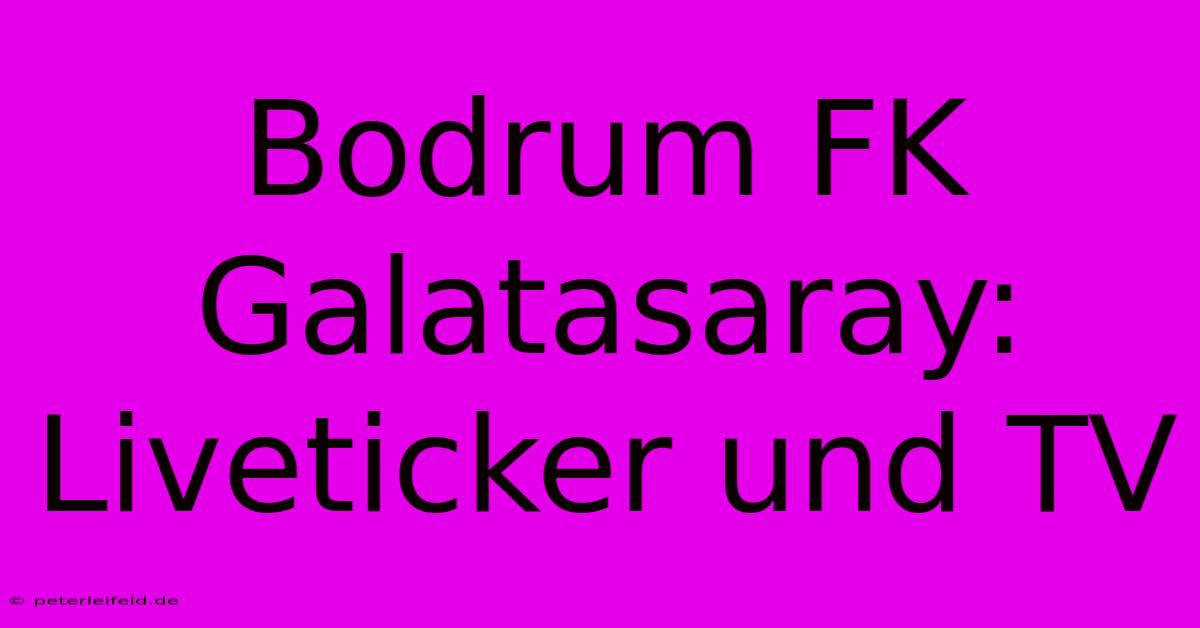 Bodrum FK Galatasaray: Liveticker Und TV