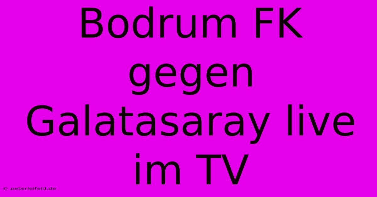 Bodrum FK Gegen Galatasaray Live Im TV