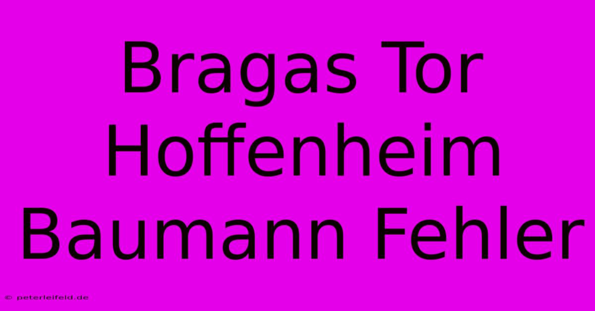 Bragas Tor Hoffenheim Baumann Fehler