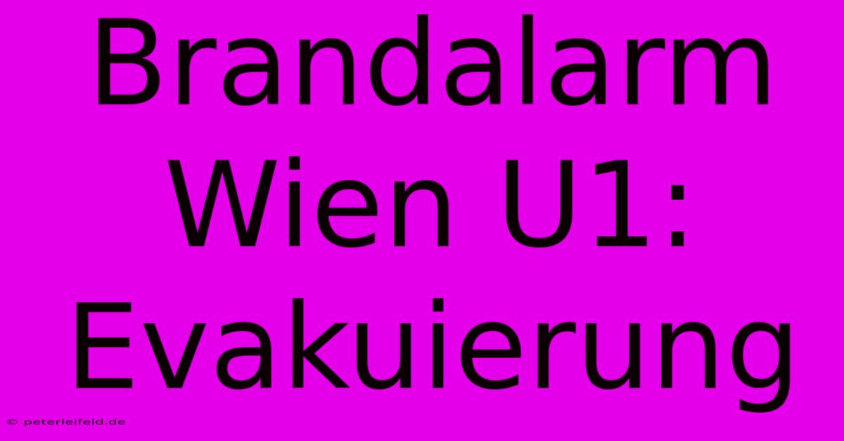 Brandalarm Wien U1: Evakuierung