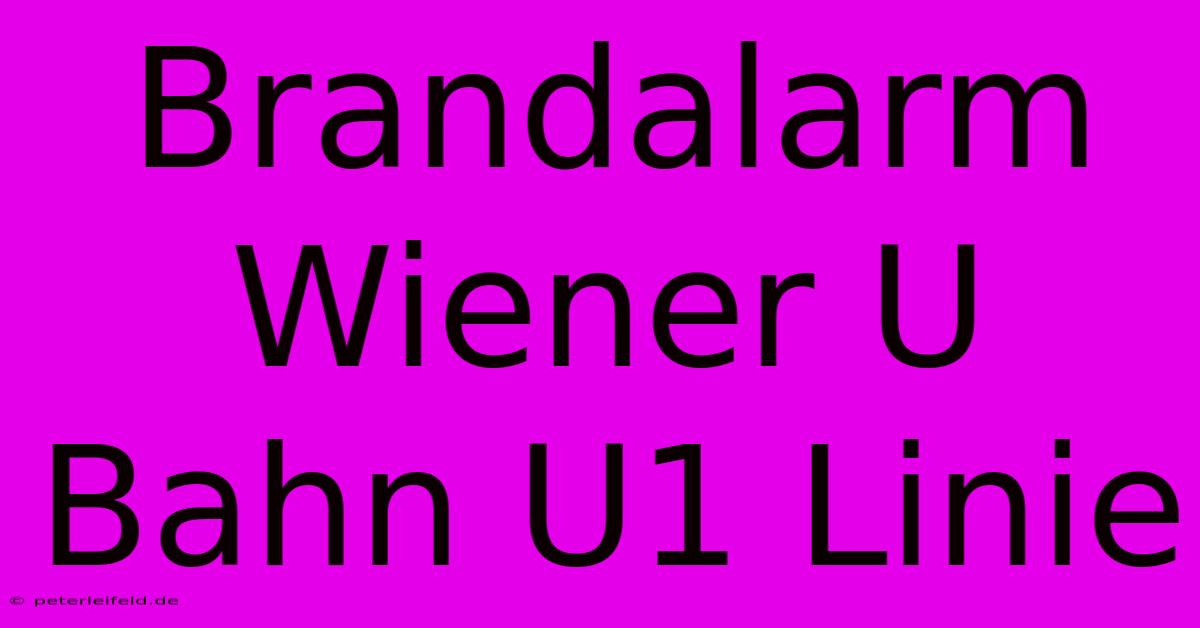 Brandalarm Wiener U Bahn U1 Linie