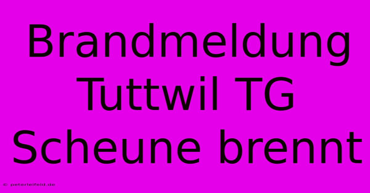 Brandmeldung Tuttwil TG Scheune Brennt