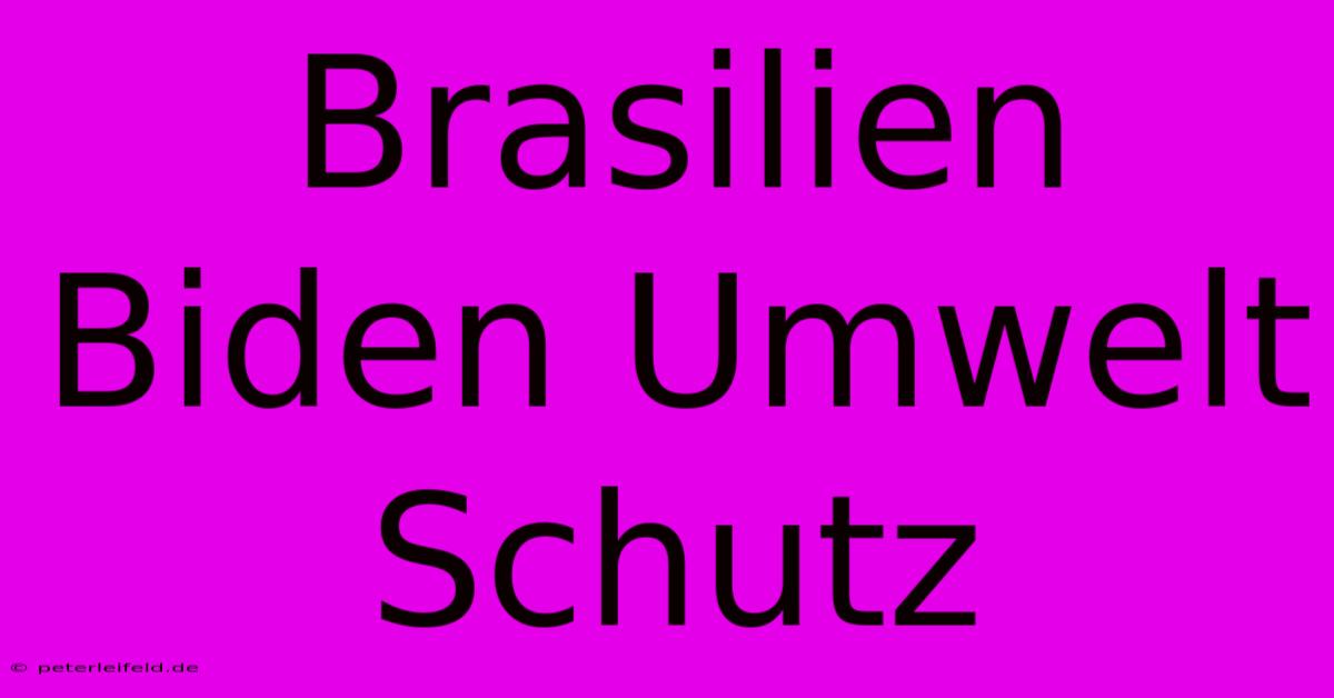 Brasilien Biden Umwelt Schutz