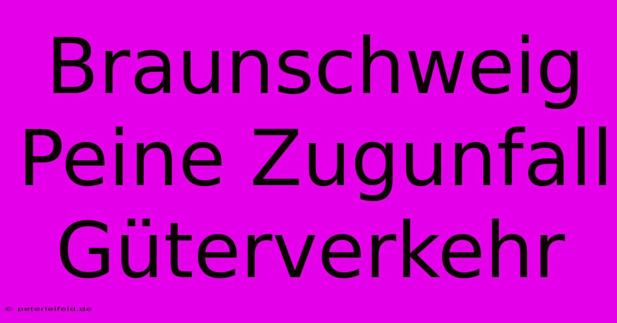 Braunschweig Peine Zugunfall Güterverkehr